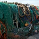 El proyecto BIRSARE desarrollará herramientas 4.0 para la circularidad de los residuos plásticos marinos