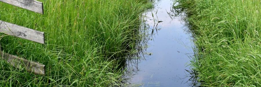 El 37% de las aguas subterráneas están contaminadas por nitratos, según un informe