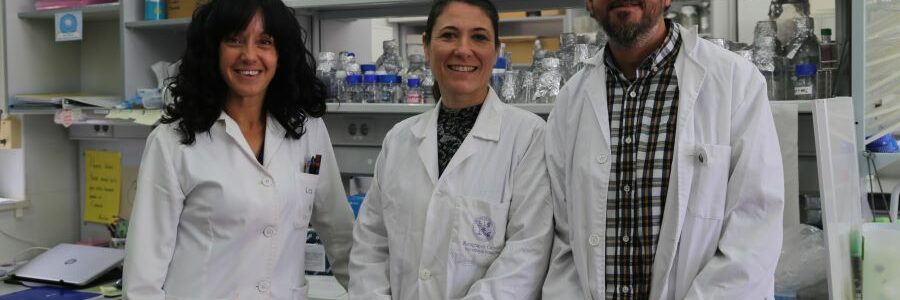 Algas y bacterias para producir hidrógeno y biomasa mientras limpian aguas residuales