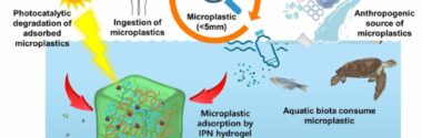 Desarrollan un hidrogel capaz de eliminar los microplásticos del agua