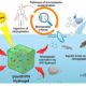 Desarrollan un hidrogel capaz de eliminar los microplásticos del agua