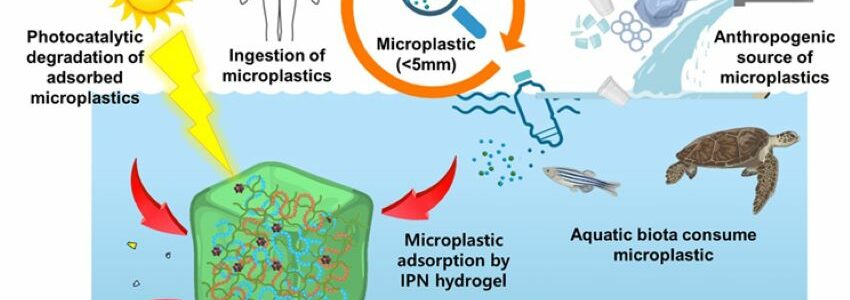 Desarrollan un hidrogel capaz de eliminar los microplásticos del agua