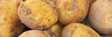 Proyecto de valorización de residuos de la producción de patatas