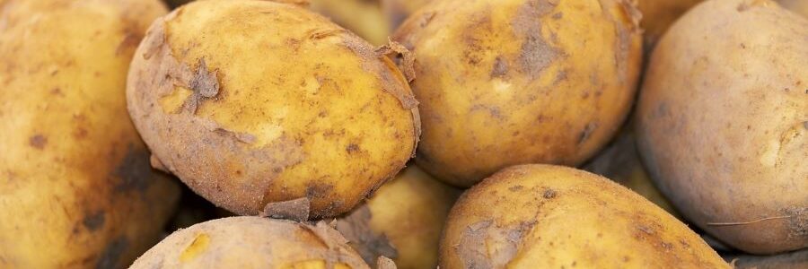 Proyecto de valorización de residuos de la producción de patatas