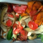Valorización de residuos orgánicos para la producción de bioplásticos con aplicaciones en agricultura y packaging