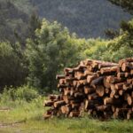 Maresme Circular investiga la viabilidad de producir gas de síntesis a partir de la biomasa forestal de la comarca