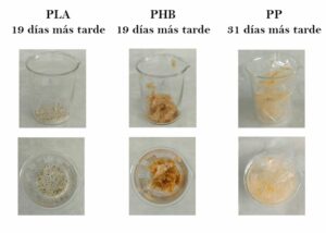 El proyecto POLBIO estudia la relación de los bioplásticos con el medio ambiente