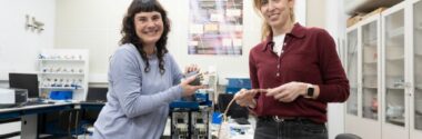 Diseñan un sistema económico de almacenamiento de energía de alta potencia a partir de biomasa del pino