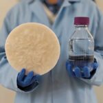 Utilizan residuos orgánicos para extraer agua potable del aire