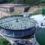 Desarrollan una innovadora tecnología verde para el tratamiento de aguas subterráneas contaminadas