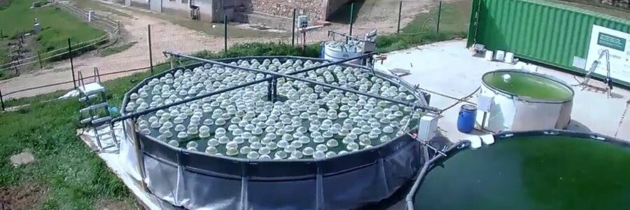Desarrollan una innovadora tecnología verde para el tratamiento de aguas subterráneas contaminadas
