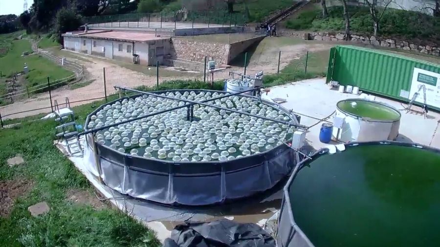 tecnología verde para el tratamiento de aguas subterráneas contaminadas