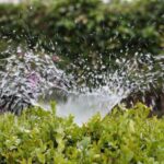 El reto de regenerar las aguas residuales para usarlas en agricultura
