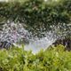 El reto de regenerar las aguas residuales para usarlas en agricultura