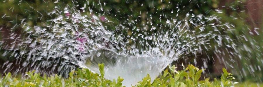 El reto de regenerar las aguas residuales para usarlas en agricultura