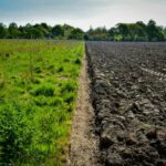 La UE alcanza un acuerdo provisional para crear la primera directiva específica sobre suelos