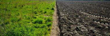 La UE alcanza un acuerdo provisional para crear la primera directiva específica sobre suelos