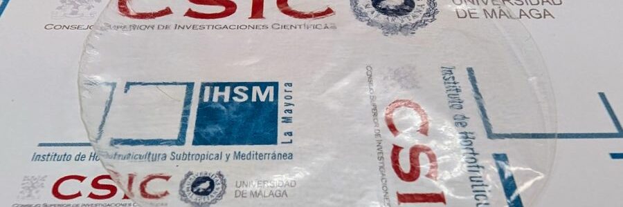 Desarrollan un bioplástico para envases alimentarios con celulosa y cera de abejas