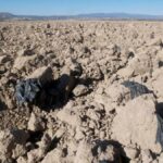 El IAS-CSIC de Córdoba analiza la interacción de bacterias con residuos plásticos agrícolas
