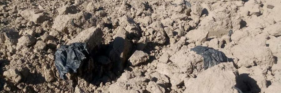 El IAS-CSIC de Córdoba analiza la interacción de bacterias con residuos plásticos agrícolas