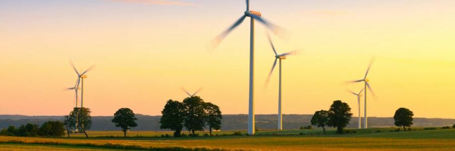 El MITECO destinará cien millones en ayudas al ecodiseño, reutilización y reciclaje de equipos para renovables