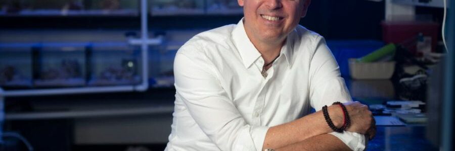 Investigadores convierten orina en un valioso material para implantes biomédicos