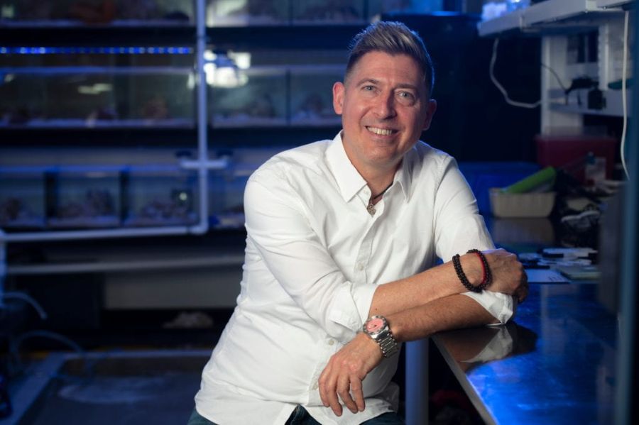 Convierten la orina en un material biocompatible para implantes médicos