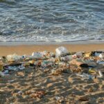 Los sistemas de depósito reducen un 54% los residuos de envases en playas, según un estudio