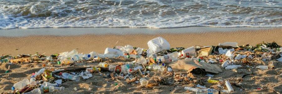 Los sistemas de depósito reducen un 54% los residuos de envases en playas, según un estudio