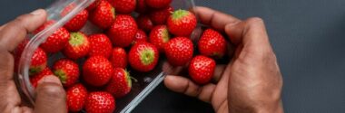 Botellas, tablas de cortar, bolsas de té… Una plataforma digital revela el origen de los microplásticos que ingerimos con la comida