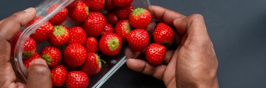 Botellas, tablas de cortar, bolsas de té… Una plataforma digital revela el origen de los microplásticos que ingerimos con la comida