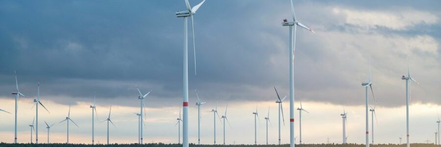 El MITECO destina 480 millones en ayudas a la fabricación de tecnologías limpias