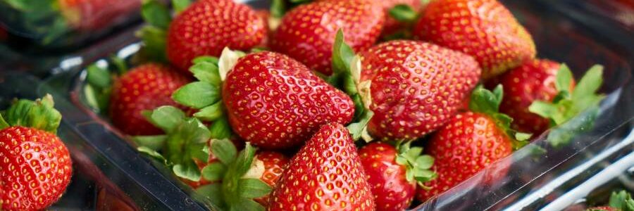 Aprovechan residuos de fresas para fabricar bioenvases con propiedades mejoradas