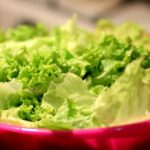 Microplásticos en suelos agrícolas acaban en tu ensalada
