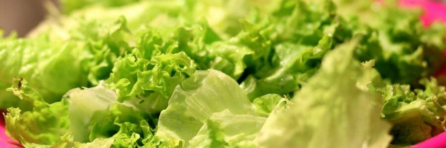 Microplásticos en suelos agrícolas acaban en tu ensalada