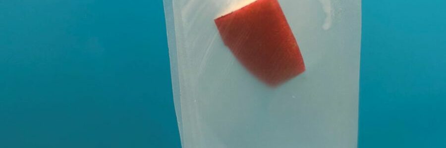 Bioplásticos inspirados en las hojas se degradan a temperatura ambiente