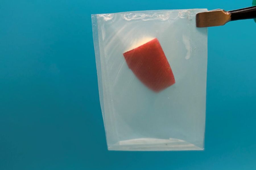 Bioplásticos inspirados en hojas que se degradan a temperatura ambiente