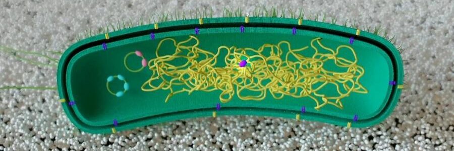 Modifican una bacteria para que ‘aprenda’ a degradar plástico sin ADN externo