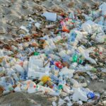 No existe una varita mágica para eliminar todo el plástico del planeta