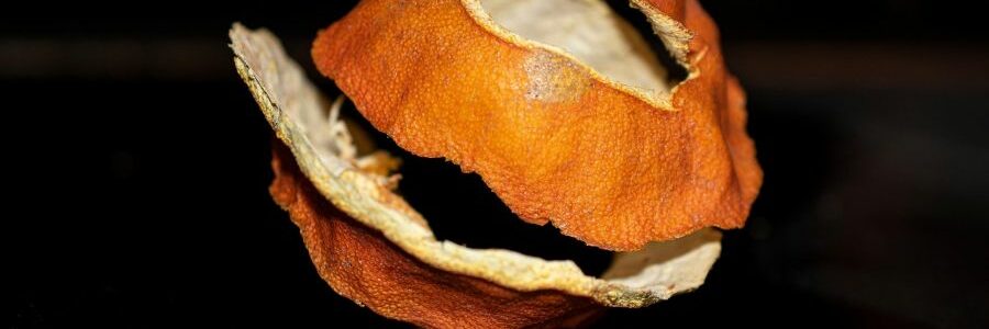 Investigadores andaluces convierten residuos de naranja en hidrógeno verde