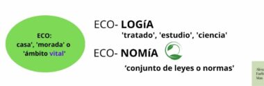 Economía y ecología