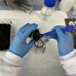 Eurecat convierte residuos forestales en materiales para descontaminar aguas y regenerar suelos
