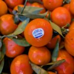 ¿Son envases las etiquetas colocadas directamente en frutas y hortalizas? El TJUE dice que no necesariamente