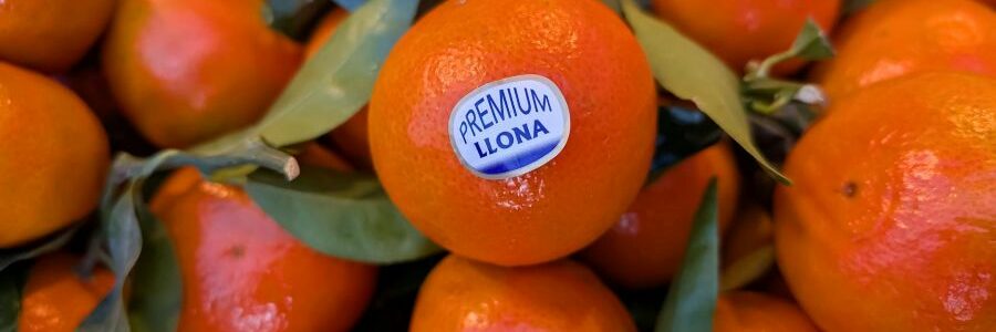 ¿Son envases las etiquetas colocadas directamente en frutas y hortalizas? El TJUE dice que no necesariamente