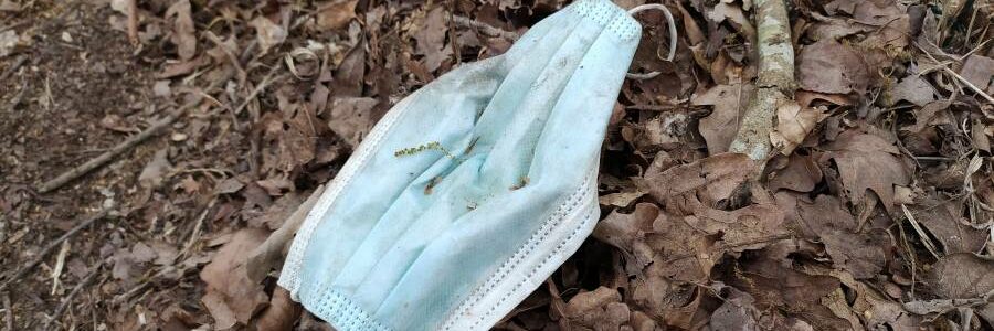 El contaminante legado ambiental de las mascarillas desechadas del Covid