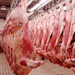 Así podemos producir combustibles a partir de los residuos de matadero