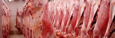 Así podemos producir combustibles a partir de los residuos de matadero