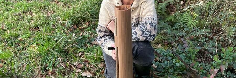 La emprendedora que transforma residuos en soluciones para reforestar sin plástico, finalista de los Women Startup Awards