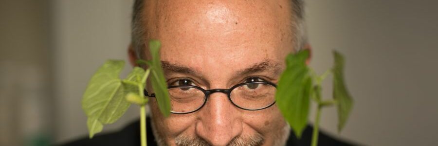 El neurobiólogo vegetal Stefano Mancuso, Premio ‘Personalidad Ambiental’ 2025 de Ecovidrio