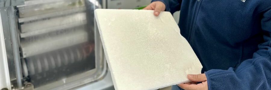 Un proyecto valenciano convierte el aceite usado de cocina en detergentes